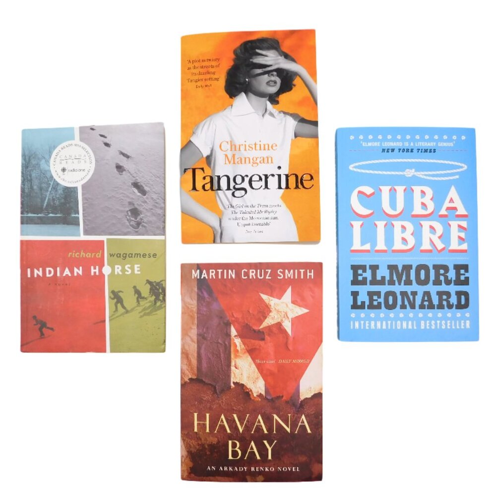 Thriller & Mystery Book Bundle – (Set of 4)